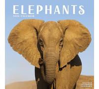 Elephants 2026 Calendar | Square Wall Calendar | Animal Gift | Plastic Free Packaging | by Avonside Publishing
