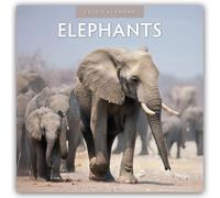Elephants 2026 Square Wall Calendar: Original Red Robin Publishing Ltd-Kalender [Mehrsprachig] [Kalender]