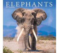 Elephants 2027 Calendar | Square Wall Calendar | Animal Gift | Plastic Free Packaging | by Avonside Publishing