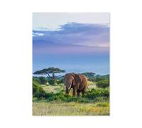 Elephants at Kilimanjaro，Puzzle 1000 Piece Jigsaw Puzzles for Adults, Classic Puzzle Difficult Puzzle for Kids Teenagers Educational Game Toys Gift for Home Travel（50x70cm）-P16