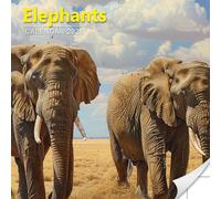 Elephants Calendar 2026: Gentle Giants with Deep Eyes and Earthy Paths