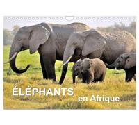 Éléphants en Afrique (Calendrier mural 2026 DIN A4 vertical), CALVENDO calendrier mensuel: Les éléphants d'Afrique sont imposants et puissants à la fois, mais parfois aussi affectueux et attentionnés.
