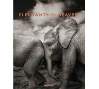 Elephants in Heaven