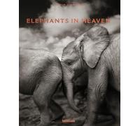 Elephants in Heaven: Joachim Schmeisser