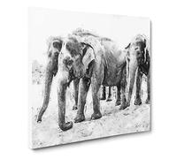 Elephants in Sri Lanka Canvas Print | Gallery Wrapped 30mm Frame Wall Art | 20x20 inches | Ready to Hang | Modern Animal Picture | Living Room Bedroom Lounge Office