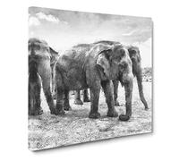 Elephants in Sri Lanka Canvas Print | Gallery Wrapped 30mm Frame Wall Art | 20x20 inches | Ready to Hang | Modern Animal Picture | Living Room Bedroom Lounge Office