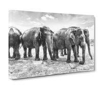 Elephants In Sri Lanka Canvas Print | Gallery Wrapped 30mm Frame Wall Art | 24x16 inches | Ready to Hang | Modern Animal Picture | Living Room Bedroom Lounge Office