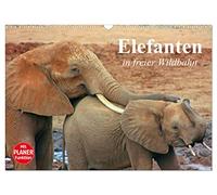 Elephants in the wild UK-Version (Wall Calendar 2026 DIN A3 Landscape), CALVENDO 12 Month Wall Calendar
