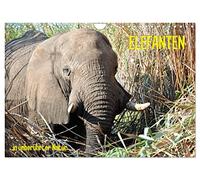 ELEPHANTS IN UNTOUCHED NATURE UK-Version (Wall Calendar 2026 DIN A4 Landscape), CALVENDO 12 Month Wall Calendar