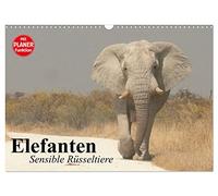 Elephants. Sensitive proboscideans UK-Version (Wall Calendar 2026 DIN A3 Landscape), CALVENDO 12 Month Wall Calendar
