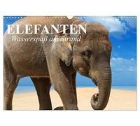 Elephants - water fun on the beach UK-Version (Wall Calendar 2026 DIN A3 Landscape), CALVENDO 12 Month Wall Calendar