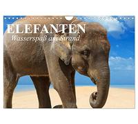 Elephants - water fun on the beach UK-Version (Wall Calendar 2026 DIN A4 Landscape), CALVENDO 12 Month Wall Calendar