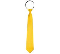 Elerevyo Men Pre-Tied Satin Solid Color Zipper Necktie for Formal Casual | Glossy shine. Adjustable closure. Stays in place. For meetings, weddings, parties. Lightweight.