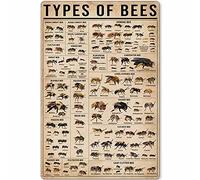 ELETINA Tin Sign Types Of Bees Retro Metal Poster House Garden Office Bar Club People Cave Wall Plaque Decoration Mural 12x16 Inches