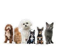 Eletizy Custom Pet Shaped Pillows, Personalized Funny Pillow with Pet/Picture/People, Double Side 3D Printing Photo, for Birthday, Thanksgiving, Christmas, Valentine's Day, Halloween 18inch