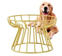 Elevated Cat Bowl - Ceramic Whisker-Friendly Dish, Raised Metal Stand with Anti-Vomit Shallow Design | Non-Skidding No Spill Feeding Station for Indoor Cats Small Dogs Dishwasher Safe