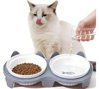 Elevated Cat Bowl, Raised Cat Food and Water Bowl Set for Indoor Cats, 15°Tilted Stand Anti Vomiting with 2 Ceramic Pet Food Bowls for Cats and Puppies, Whisker Fatigue