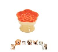 Elevated Cat Bowl with Slow Feed - Anti-Glutton Ceramic Bowl - Flat Safe - Wide and Inclined - for Pets - for Cats and Dogs