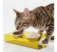 Elevated Cat Bowls Set for Indoor Cats, Yellow Acrylic Stand with 2 Ceramic Bowls for Food and Water, 15° Tilted Design for Anti-Vomiting & Ant Proof