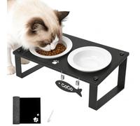 Elevated Cat Bowls with Mat for Kitten Puppy, 10° Tilted Raised Cat Food & Water Bowl Stand Anti-Vomiting, 2 Wide Shallow Ceramic Bowls, Whisker Friendly, 3.5" Tall
