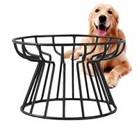 Elevated Cat Food Bowl - Whisker Friendly Ceramic Elevated Cat Food Bowls for Food - Ceramic Cat Bowl with Metal Stand, Cat Bowl-Raised Cat Food Bowl, Food & Water Shallow Cat Dish