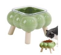 Elevated Cat Tray - Kitten Bowl with High Base - Stain-Resistant High Leg Drinker for Daily Feeding Home or Travel Use