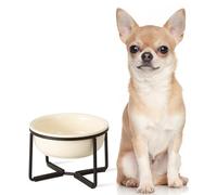 Elevated Ceramic Dog Food Bowl - Raised Dog Bowl with Non-Slip Metal Stand - Lifted Dog Dish - Small Dog Water Bowl - Dog Feeding Bowl - Ideal for Puppies and Cats - 1 Cup - 13.5 fl oz - Beige