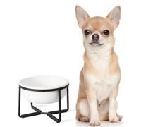 Elevated Ceramic Dog Food Bowl - Raised Dog Bowl with Non-Slip Metal Stand - Lifted Dog Dish - Small Dog Water Bowl - Dog Feeding Bowl - Ideal for Puppies and Cats - 1 Cup - 13.5 fl oz - Matte White