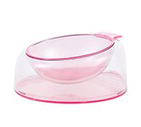 Elevated Dog for Cat Bowls Stress Free Pet Feeder and Waterer with Base Anti Vomiting 500ml Tilted Raised Nonslip No SPI Pet Feeding Bowls with Stand