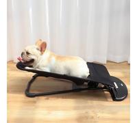 Elevated Dog Hammock Bed Rocking Chair Swing for Indoors Outdoors Comfortable Durable Design Pet Furniture