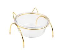 Elevated Glass Pet Bowl with Slant Design and Metal Rack
