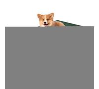Elevated Outdoor Dog Bed - Removable Indoor Outdoor Dog Cot - Washable Heavy Duty Cool Mat Cushion for Car Patio Travel Puppy Camping