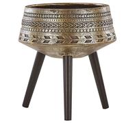 Elevated Plant Pot VARDIANI 50 cm Gold