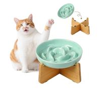 Elevated Slow Feeder Cat Bowl - Ceramic Cat Food Dish with Anti-Slip Bamboo Stand - Whisker Friendly Feeding Bowl - Raised Maze Plate for Slow Down Eating - Mint Green