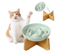 Elevated Slow Feeder Cat Bowl - Melamine Cat Food Plate with Anti-Slip Bamboo Stand - Whisker Friendly Feeding Bowl - Raised Maze Dish for Slow Eating - Mint Green