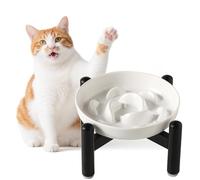 Elevated Slow Feeder Cat Bowl - Melamine Cat Food Plate with Anti-Slip Metal Stand - Raised Maze Dish for Slow Eating - Ivory White