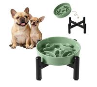 Elevated Slow Feeder Dog Bowl - Ceramic Maze Dog Food Bowl with Stainless Stand - Raised Slow Feeder for Small Breeds to Control Eating Speed - 6.3 Inch - 0.8 Cups (80g) - Green