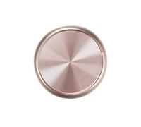 Eleven Discs ¾-Inch Champagne Gold Aluminum Discs for Discbound Notebooks (Set of 11)