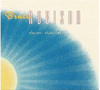 Eleven Stories by Bruce Robison