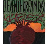 ELEVENTH DREAM DAY - Day/Beet [VINYL]