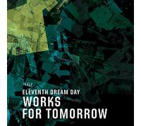 Eleventh Dream Day - Works For Tomorrow [VINYL]