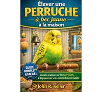 Élever une perruche à bec jaune à la maison: Conseils pratiques sur la nutrition, le logement sûr et les comportements sains