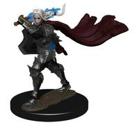 Elf Paladin Female (PACK OF 6): Pathfinder Battles Premium Painted Figure (W2)