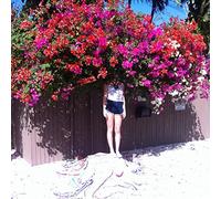 Elf Power - Sunlight On The Moon