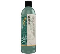 Elgon Imagea Absolute Shampoo Hairtype 2 1000ml