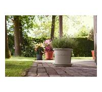 elho Algarve Cilindro 35 - Flower Pot Outdoor - 100% Recycled Plastic - Ø 34.5 x H 29 cm - Beige/Mushroom Beige