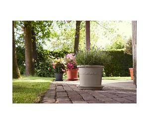 Elho Algarve Cilindro Round Planter Pot 35cm Mushroom Beige Plastic Flower Pot with Decorative Motif Frost Resistant