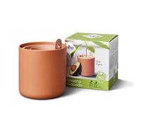 elho Amazing Avocado Pot 12 - Grow Your Own Kits for Avocadoplant - 100% Recycled Plastic - Ø 12.0 x H 12.1 cm - Brown/Toffee Terra