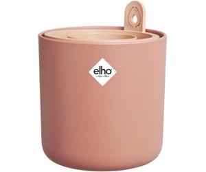 Elho Amazing Avocado Pot Grow Your Own Kit For Avocado Plant Toffee