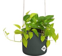 elho b.for swing Hanging Pot 18cm - Leaf Green